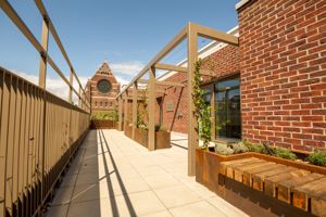 Rooftop Garden - click for photo gallery